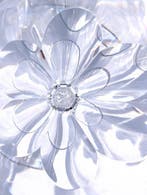 Val Saint Lambert - Service de table pour 6 (6) - Gevaert -