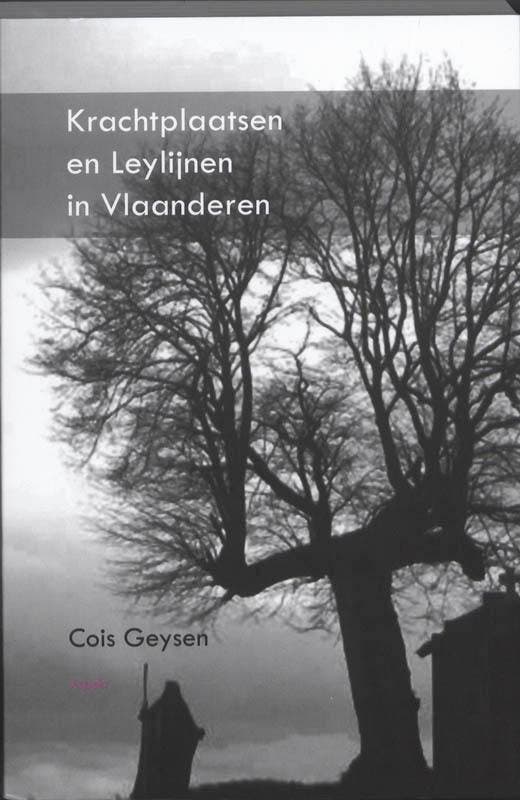 Krachtplaatsen en Leylijnen in Vlaanderen 9789059118119, Boeken, Geschiedenis | Wereld, Gelezen, Verzenden