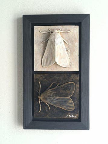 Federico Alibrio - Moths - Vertical and Horizontal