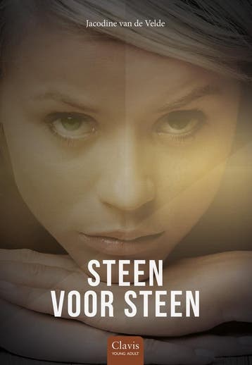 Clavis Young adult - Steen voor steen (9789044841084), Antiquités & Art, Verzenden