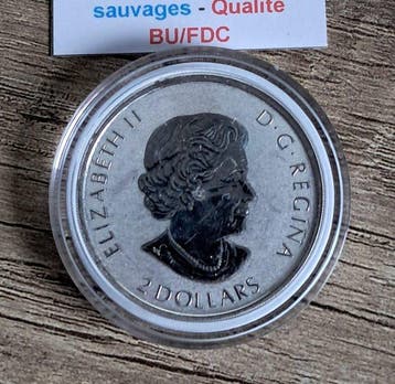 Canada. 2 Dollars 2019 - 3/4 Oz - .999 (Sans prix de