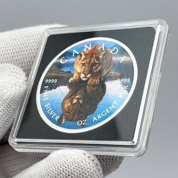 Canada. 5 Dollars (65) 2026 – Silent Reflection: The