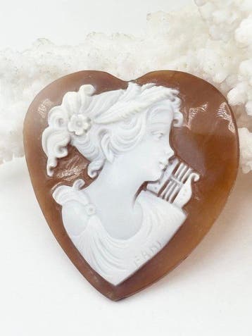 CASSIS MADAGASCARIENSIS - Cameo - Handgesneden camee