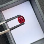 1 pcs Rood Robijn - 1.50 ct - Gem research Swiss Lab (GRS) -