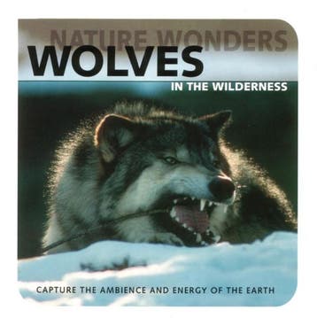 Levantis - Nature Wonders - Wolves In The Wilderness, Verzenden, Gebruikt