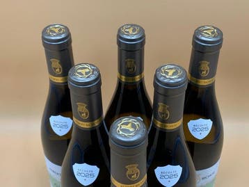 2025 Albert Bichot Domaine Long-Dépaquit - Chablis - 6, Nieuw