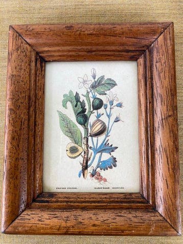 Collectie merkartikelen - 10x houten sierlijsten met vintage, Antiek en Kunst