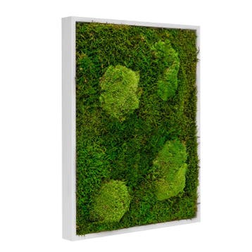 Mosschilderij Lappenmos-Bolmos 30x40 cm Gebroken Wit - Vibor, Verzenden