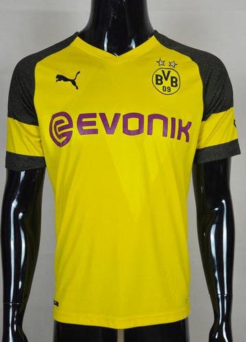 Borrusia Dortmund - Duitse voetbal competitie - Reus - 2018, Nieuw