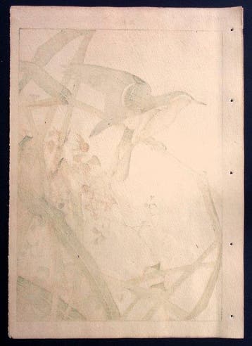 Reed Warbler - Imao Keinen ( 1845 – 1924 ) - Japan - Meiji