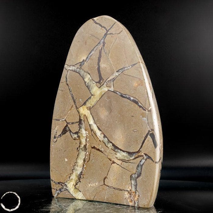 Natuurlijke septariën-vrije vorm uit Madagaskar – een oeroud, Verzamelen, Mineralen en Fossielen