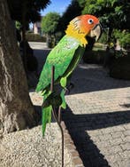 Figurine - Papegaai op stok - Métal, Antiquités & Art