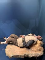 Beeldje - Pastore Napoletano dormiente - 40cm - Hout,