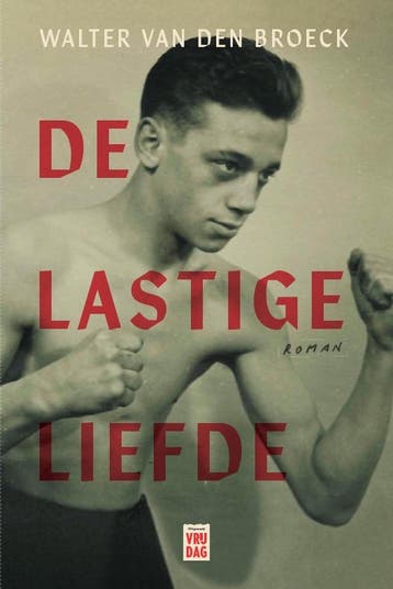 De lastige liefde 9789464341652 Walter Van den Broeck, Verzenden, Gelezen, Walter Van den Broeck
