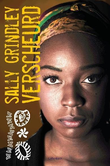 Verscheurd 9789026606922 Sally Grindley, Livres, Livres pour enfants | Jeunesse | 13 ans et plus, Envoi