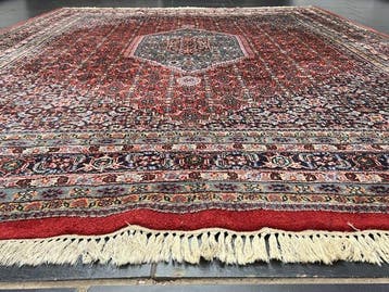 Bidjar - Tapis - 295 cm - 245 cm
