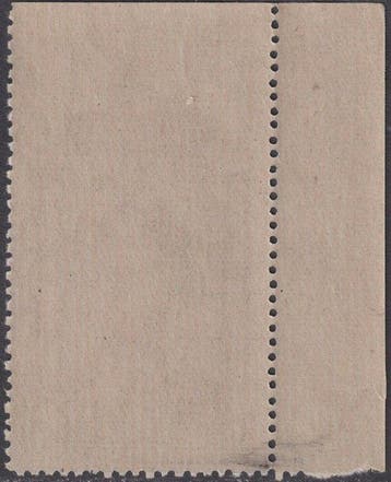Poolse Lichaam 1946 - Slachtoffers 2 z. bruin rood Niet