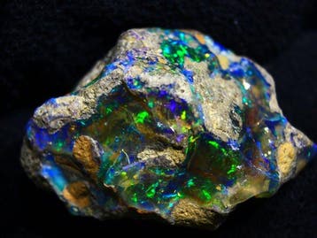 Ct. 89,00 Uniek - volledig droge natuurlijke Ethiopische