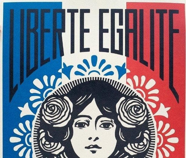 Shepard Fairey (OBEY) (1970) - Liberté Égalité Fraternité, Antiquités & Art, Art | Dessins & Photographie