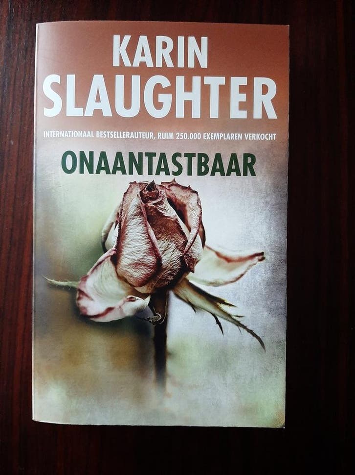 Onaantastbaar 9789023497417 Karin Slaughter, Boeken, Thrillers, Gelezen, Verzenden