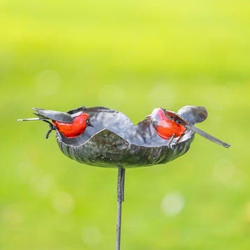Figuur - Roodborst drinkbak in hartvorm met twee roodborsten
