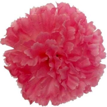 Anjerpick Roze Zijdenbloem per stuk, Nieuw