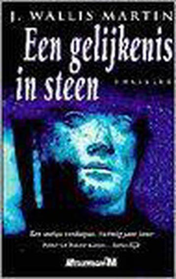 GELIJKENIS IN STEEN 9789029055123 J. Wallis Martin, Verzenden, Gelezen, J. Wallis Martin