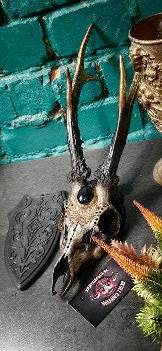 Ree Gesneden schedel - Caproleus caproleus - 25 cm - 11 cm -, Verzamelen, Nieuw