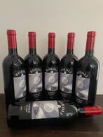 2009 Achille Boroli, Barolo Villero - Piedmont DOCG - 6