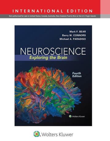 Neuroscience 4E International Edition 9781451109542, Boeken, Verzenden, Gelezen, Mark F. Bear