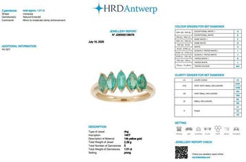 Ring - 14 karaat Geel goud - 1.01ct. tw. Smaragd