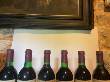 1981 Bodegas Franco-Españolas, Rioja Bordón - Rioja Crianza, Verzamelen, Nieuw