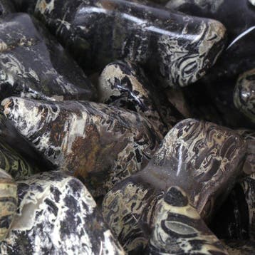 Silver Leaf Jasper - Lot en gros XL- 1 kg