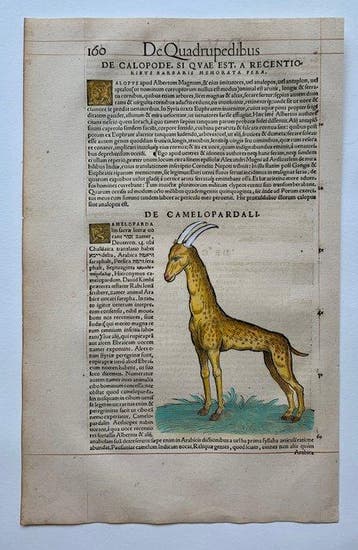 Conrad Gesner - Icones animalium quadrupedum uiuiparorum et