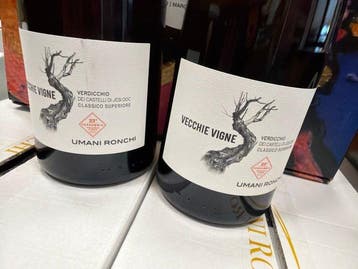 2024 Umani Ronchi, Vecchie Vigne Verdicchio - Marches - 2