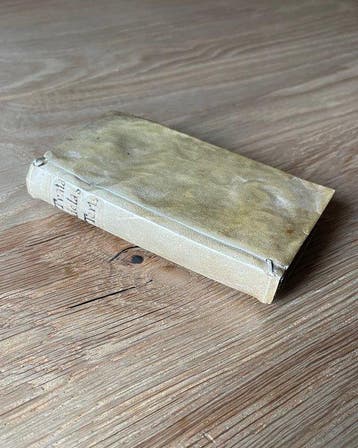 Un sacerdote de la Congregación de la Misión - Tratado sobre