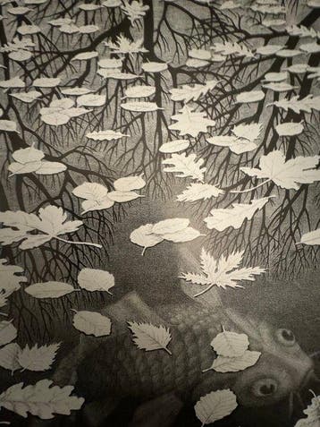 M.C Escher - baarn holland - Drie werelden - Jaren 2000