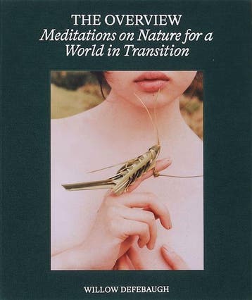 The Overview 9798218298104 Willow Defebaugh, Verzenden, Willow Defebaugh