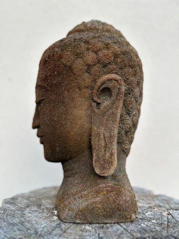 Antica Testa di Buddha in Pietra Lavica - Beeld - Buddha -