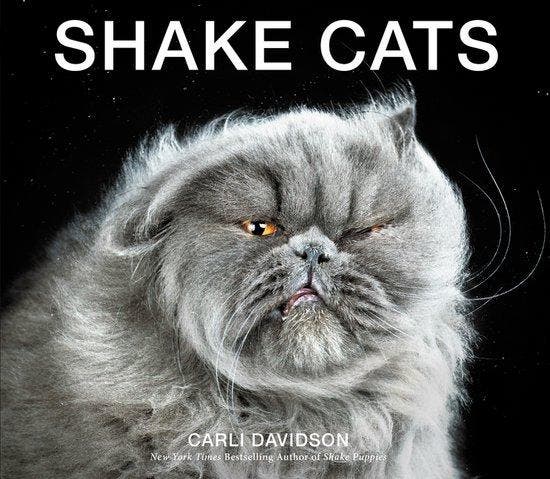 Shake Cats 9780062351746 Carli Davidson, Livres, Langue | Anglais, Envoi