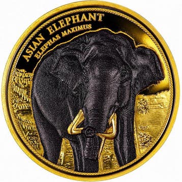 Afrikaanse olifant & reu panda. Gold Plated Medal 2023 /
