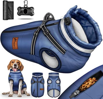 Hondenjas - Hondentrui - Winter - S - Blauw - TRESKO®, Dieren en Toebehoren, Hondenkleding, Verzenden, Nieuw
