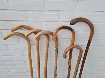 Wandelstok - Een prachtige en authentieke collectie van 7