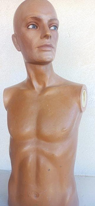 Mannequin - Busto maschile finitura carne - 75 cm - Hars