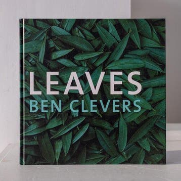 Leaves - Ben Clevers 9789090344492 Ben Clevers, Verzenden, Ben Clevers