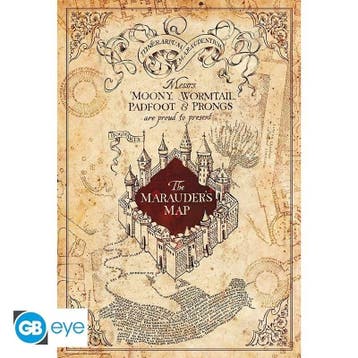 Harry Potter Marauders Map Poster 91.5 x 61 cm, Ophalen of Verzenden