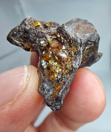 Pallasiet-meteoriet, NWA 16774. Geen reserveprijs. - 14.54 g