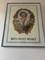 Jean Malvaux S.A (Encadree) - Fraîcheur des Bons Fruits
