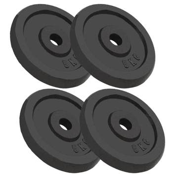 vidaXL Halterschijven 4 st 4x5 kg gietijzer, Verzenden