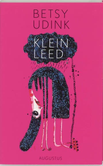Klein leed 9789045700502 B. Udink, Verzenden, B. Udink